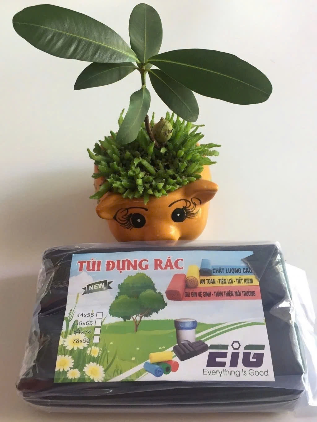 Túi đựng rác môi trường EIG kích thước tiểu 44cmx56cm