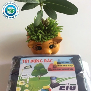 tui-dung-rac-moi-truong-eig-kich-thuoc-tieu-44cmx56cm