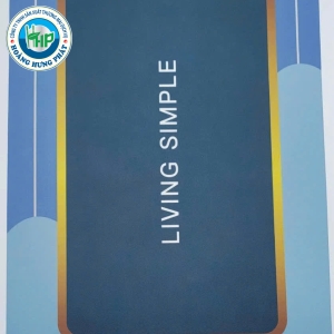 Thảm nhà tắm, lau chân silicon- PHÚC HƯNG PHÁT thấm hút nhanh không để lại dấu nước chống trơn trượt